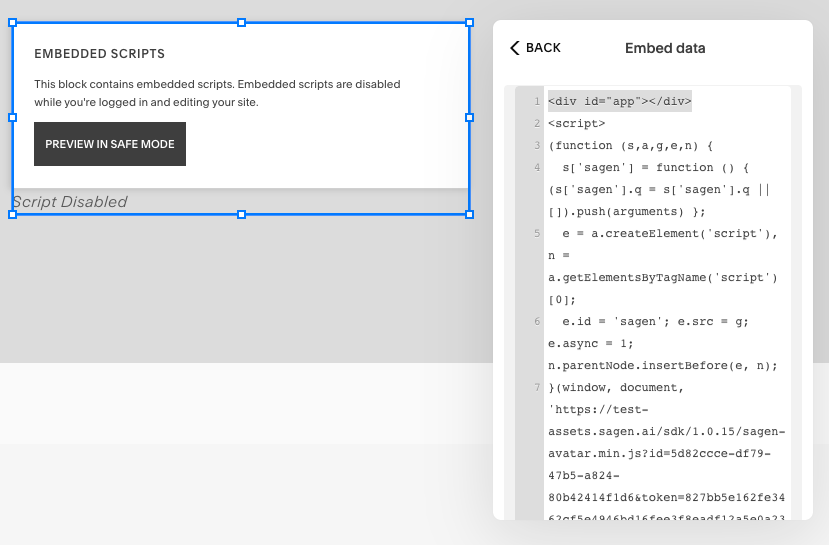 ../_images/squarespace-embed.png